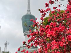 -梧桐山风景名胜区