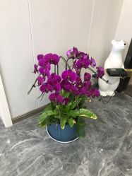 -苗方清颜专业祛痘·皮肤管理