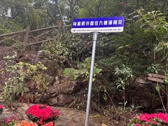 -九鲤湖风景区