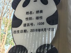 -五龙山野生动物王国