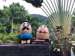 -100蛋泥浆浴