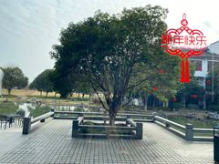 -梁鸿湿地丽笙度假酒店大堂吧