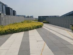 -洛克公园·篮球(雨花客厅店)
