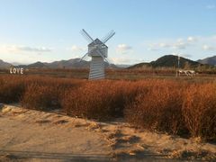 android_upload_pic-北京东方普罗旺斯薰衣草庄园