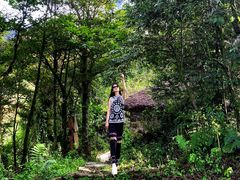 -世界恐龙谷景区