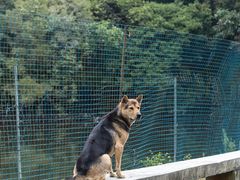 -马峦山郊野公园