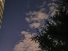 -清华大学-观畴园餐厅