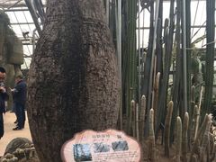-南山植物园