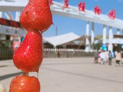 -石家庄市植物园