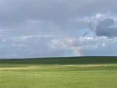 -顶顶汤火牛排火锅·经典铜锅涮肉