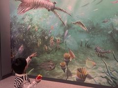 -辽宁古生物博物馆
