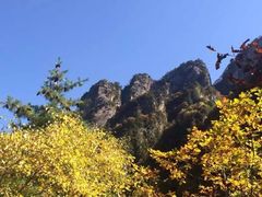 -青峰峡国家森林公园