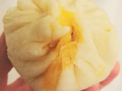 麻辣香菇鸡丁包-老陶包子铺(南大西南村店)