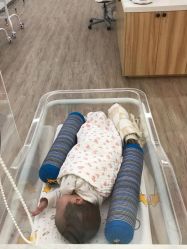 -海豚湾高端月子会所(黄浦店)