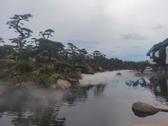 -罗红摄影艺术馆