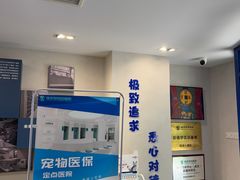 -伟伟宠物医院·CT影像中心·瑞派犬猫综合性门诊(汉口总院)