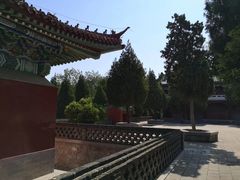 -龙口南山旅游景区