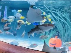 -沈阳海洋探索中心