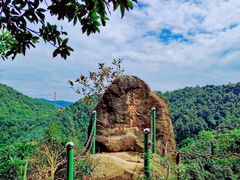 -南山植物园
