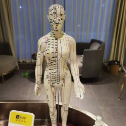 -汐月Health纤体spa中心