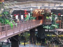 -南宫五洲植物乐园