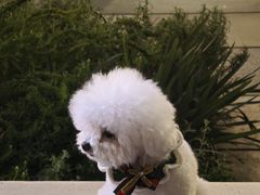 -绍兴启迪乔波冰雪世界