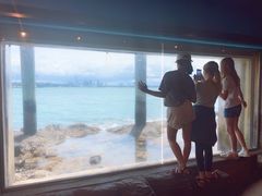 -凯莉-塔尔敦海洋生物水族馆