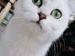 -平行世界·猫咖(首经贸店)