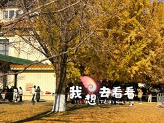 -中国农业博物馆
