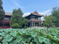 -莲池书院博物馆