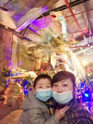 -恐龙探索乐园(磁器口店)