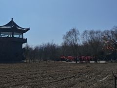 -盐城丹顶鹤湿地生态旅游区