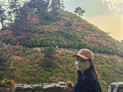 -木兰云雾山