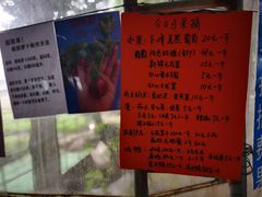 -新塘水果乐园(东洲大道店)