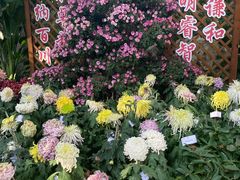 -汇龙潭