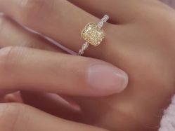 -钻石小鸟钻戒婚戒定制(石路店)