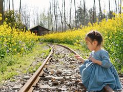 -合肥滨湖国家森林公园