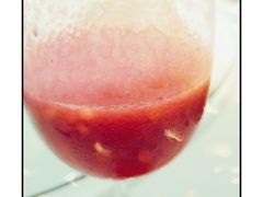 -隆聚时令海鲜(一舟店)