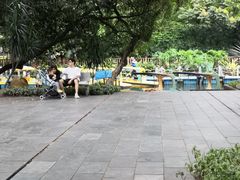 -晓港公园