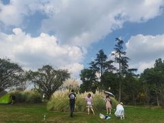 -云漫湖生态度假公园