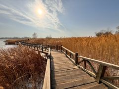 -野鸭湖国家湿地公园