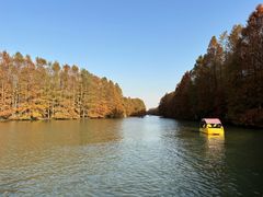 -上海海湾国家森林公园