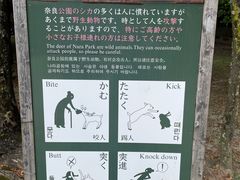 -奈良公园