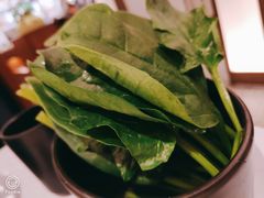 菠菜-新辣道鱼火锅(航天万源店)