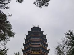 -铁山坪森林公园