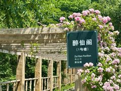 -参仙谷生态旅游度假区
