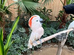 -南宫五洲植物乐园