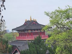 -广富林郊野公园