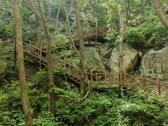 -大岭沟猕猴桃谷风景区
