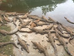 -广东茂名森林公园